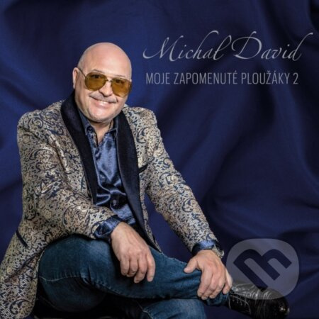 Michal David: Moje zapomenuté ploužáky 2 LP (2 LP)