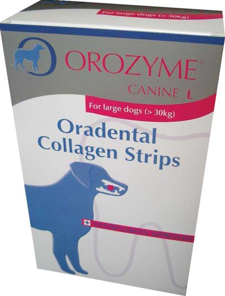 Orozyme Canine L 141g