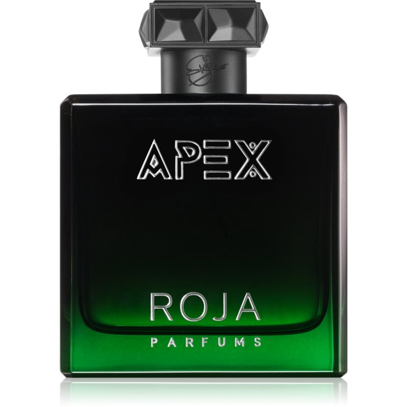 Roja Parfums Apex parfémovaná voda pro muže 100 ml