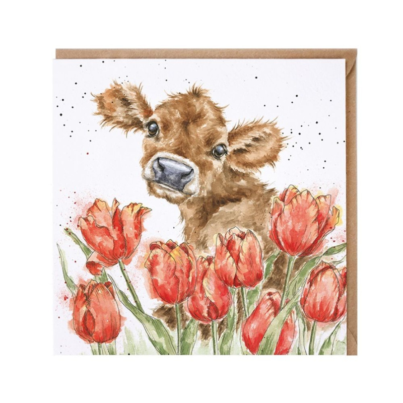 Wrendale Designs Přání Wrendale Designs "Bessie", 15x15 cm - Kráva