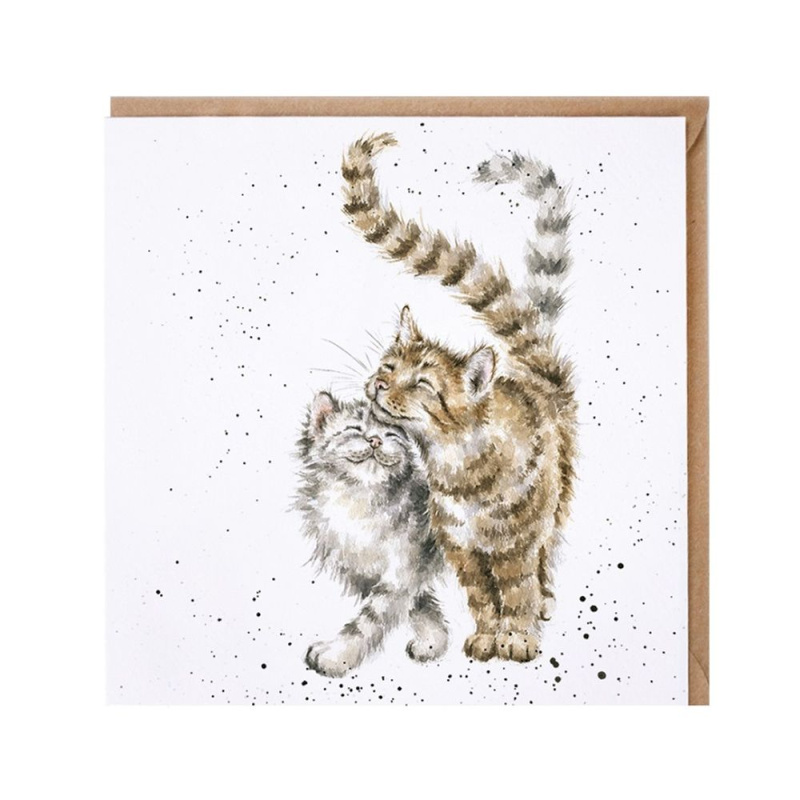 Wrendale Designs Přání Wrendale Designs "Feline Good", 15x15 cm - Kočky
