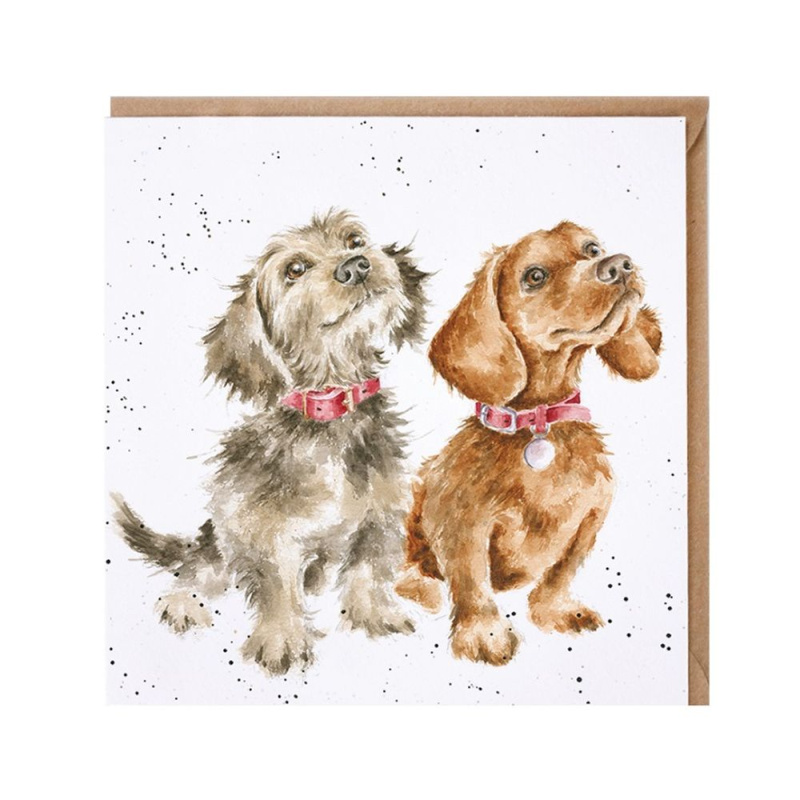 Wrendale Designs Přání Wrendale Designs "Treat Time", 15x15 cm - Pejsci