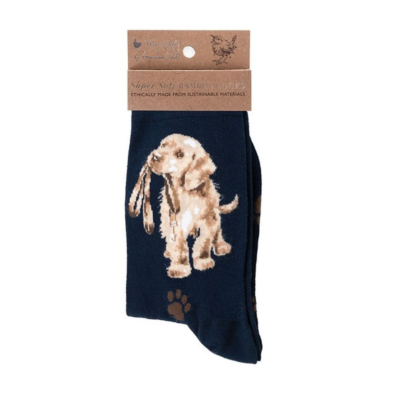 Wrendale Designs Dámské ponožky Wrendale Designs "Hopeful" - Pes, labrador
