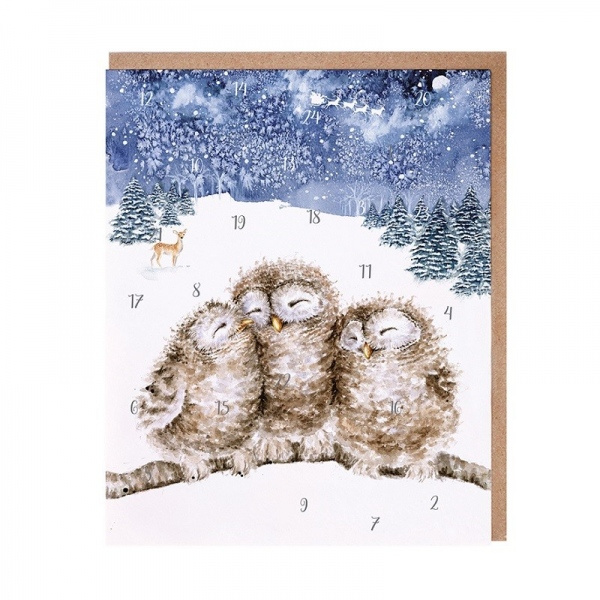 Přání s adventním kalendářem - Sovy Aladine