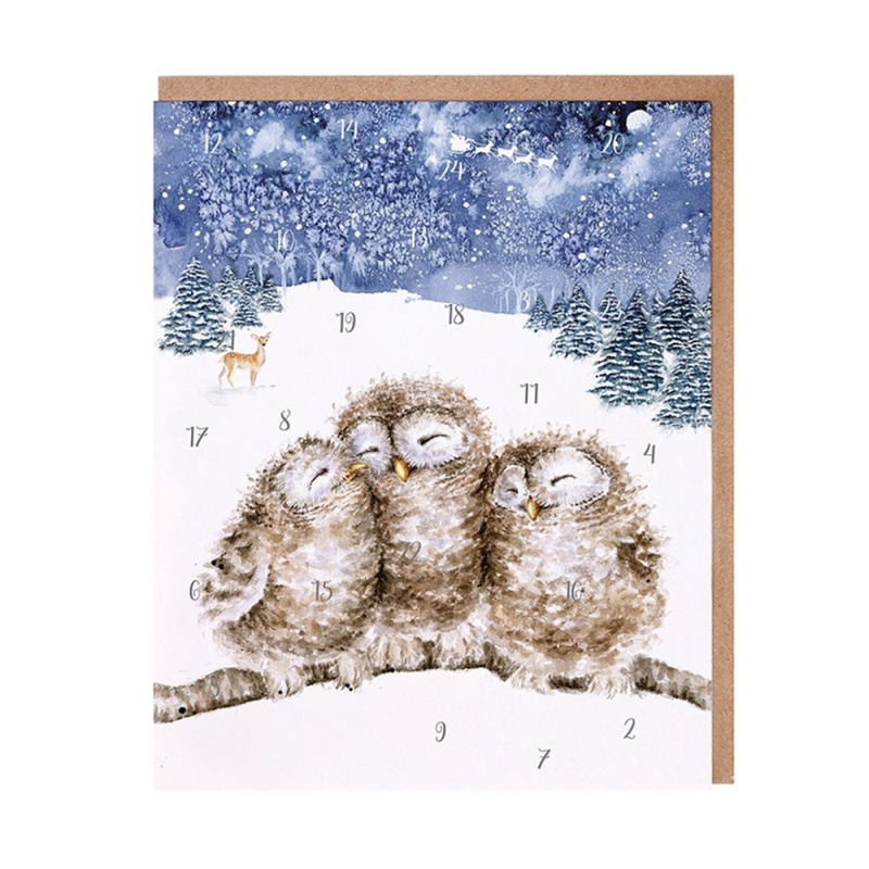 Přání s adventním kalendářem - Sovy Aladine