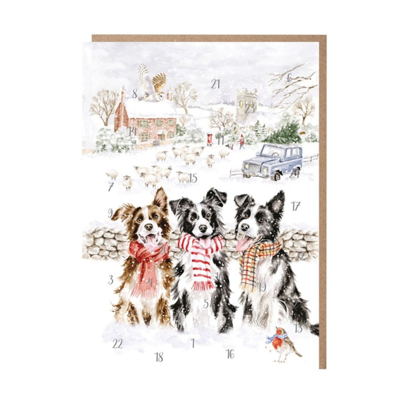 Wrendale Designs Přání s adventním kalendářem Wrendale Designs "While Shepherds Watched" - Pejsci