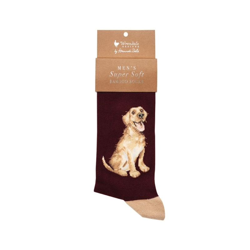 Wrendale Designs Pánské ponožky Wrendale Designs "Good as Gold" - Pes, labrador