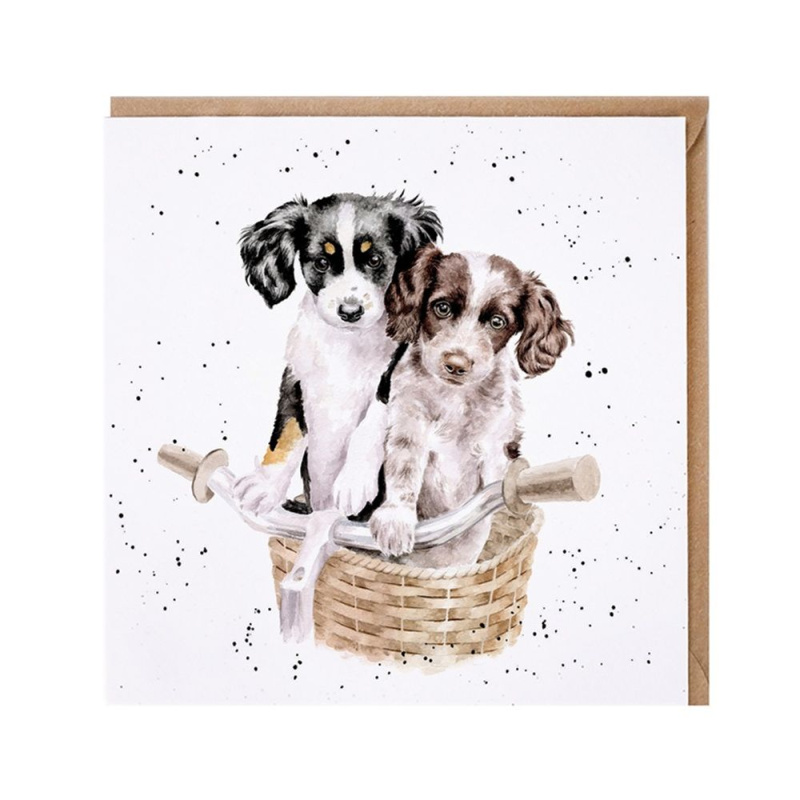 Wrendale Designs Přání Wrendale Designs "Paws and Pedals", 15x15 cm - Pejsci