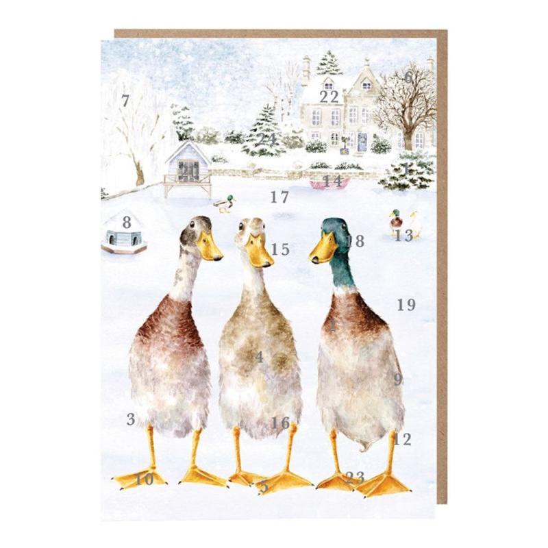 Wrendale Designs Adventní kalendář Wrendale Designs "Christmas on the Pond", A4 - Kachny