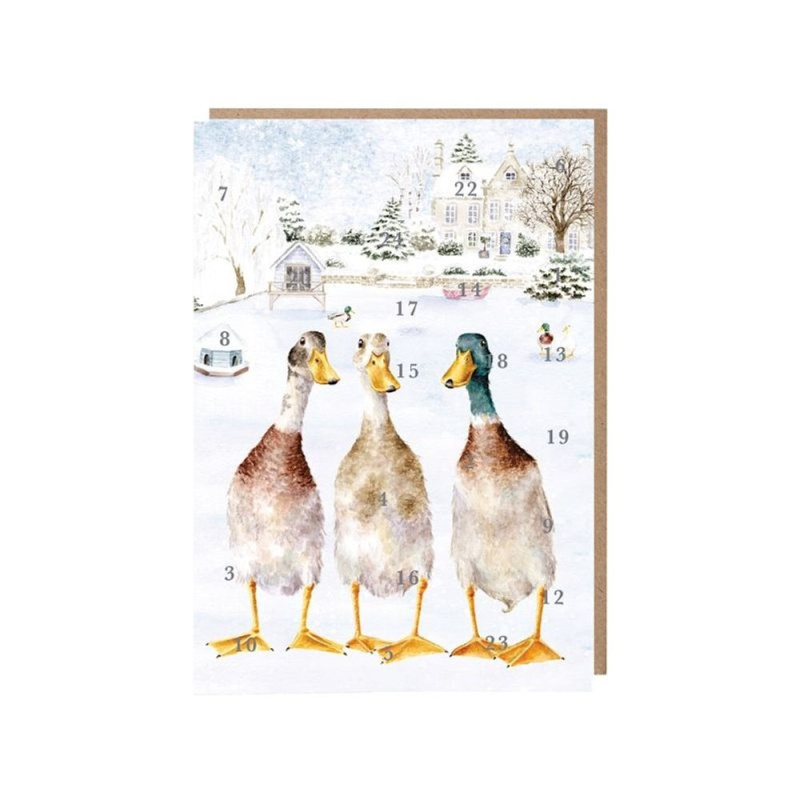 Wrendale Designs Přání s adventním kalendářem Wrendale Designs "Christmas on the Pond", A5 - Kachny