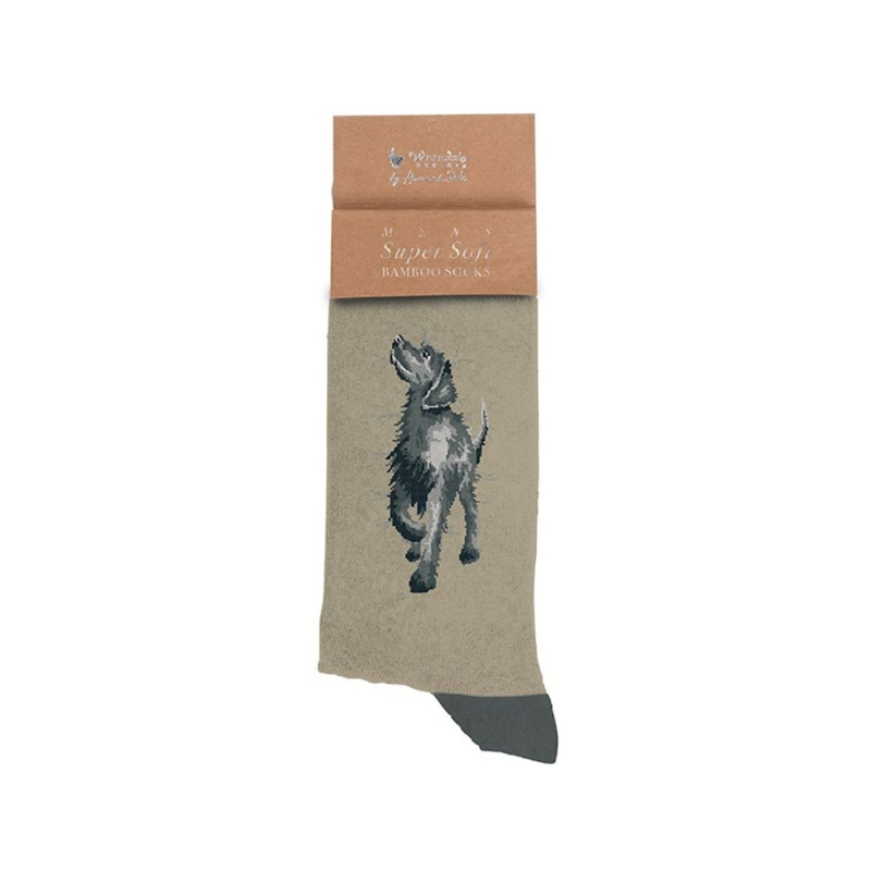 Wrendale Designs Pánské ponožky Wrendale Designs "Walkies" - Labrador