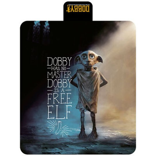 Harry Potter Pikniková deka Dobby