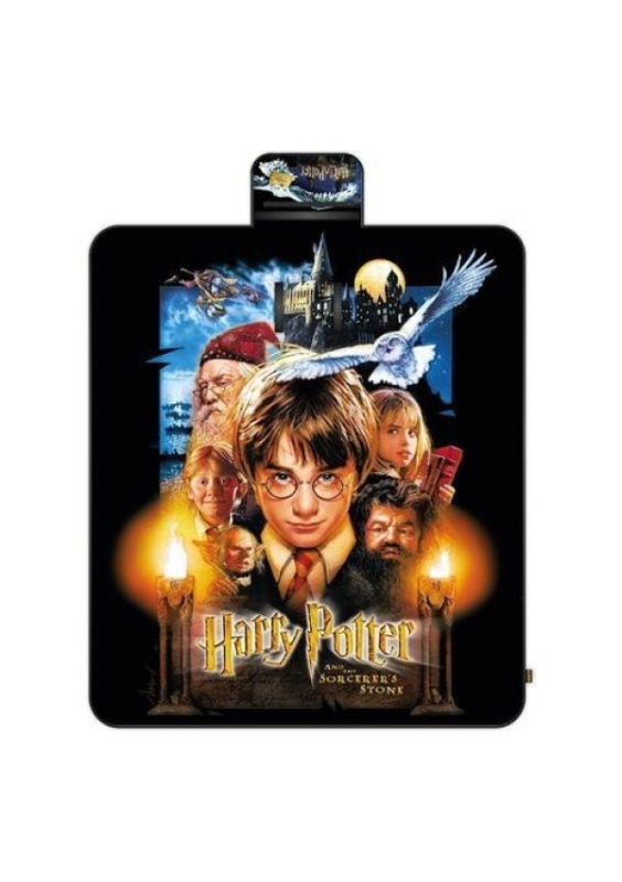 Harry Potter Pikniková deka 20. výročí