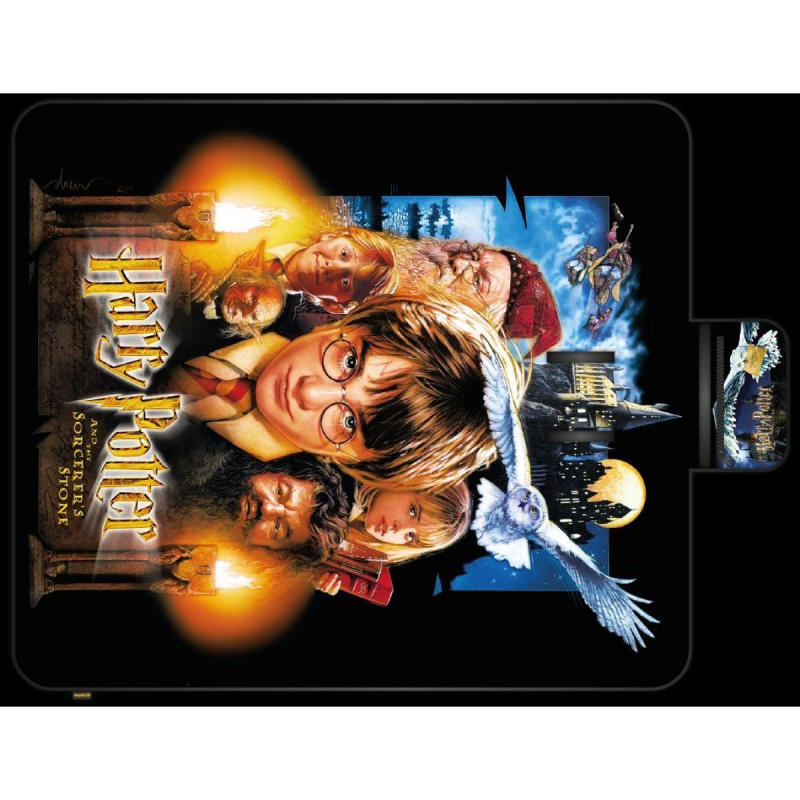 Harry Potter Pikniková deka 20. výročí