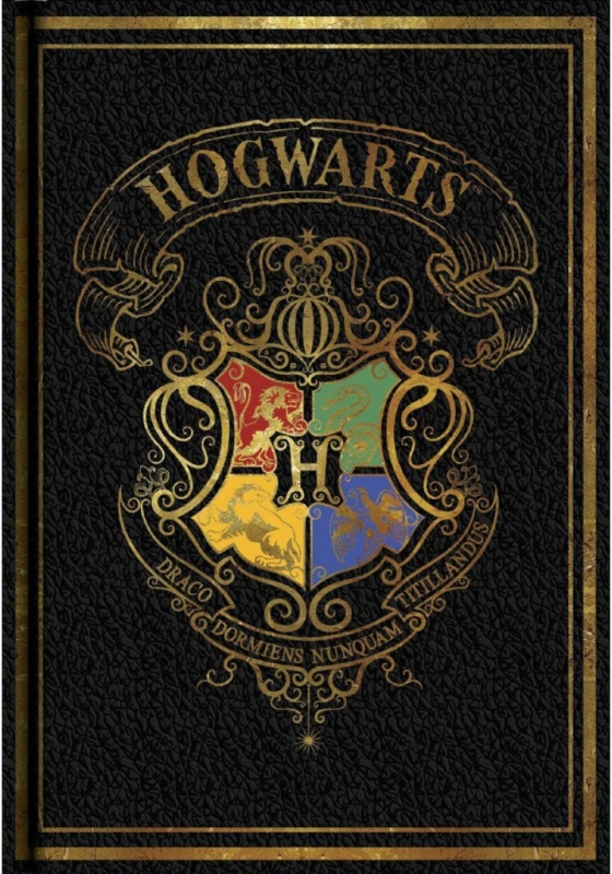 Merch Blok A5 Harry Potter Colourful čierný