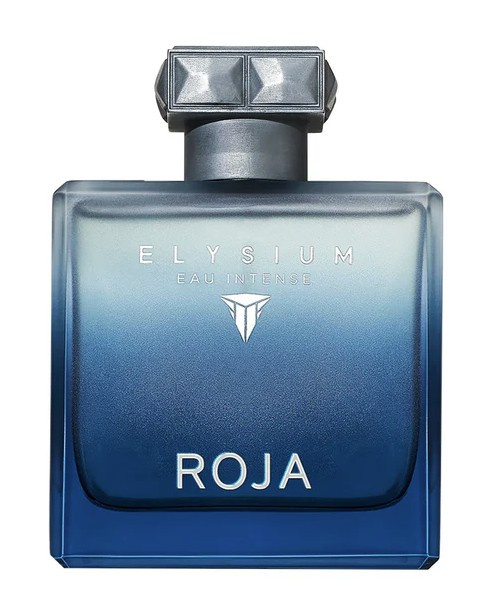 Roja Parfums Elysium Eau Intense parfémovaná voda pro muže 100 ml