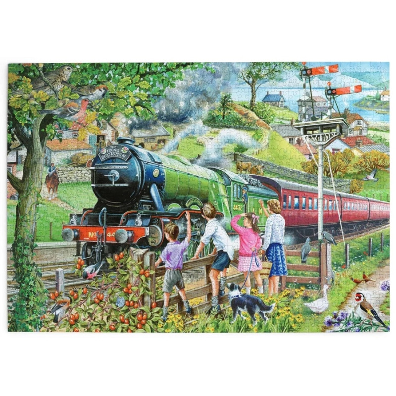 HOP Puzzle Plnou parou vpřed 1000 dílků