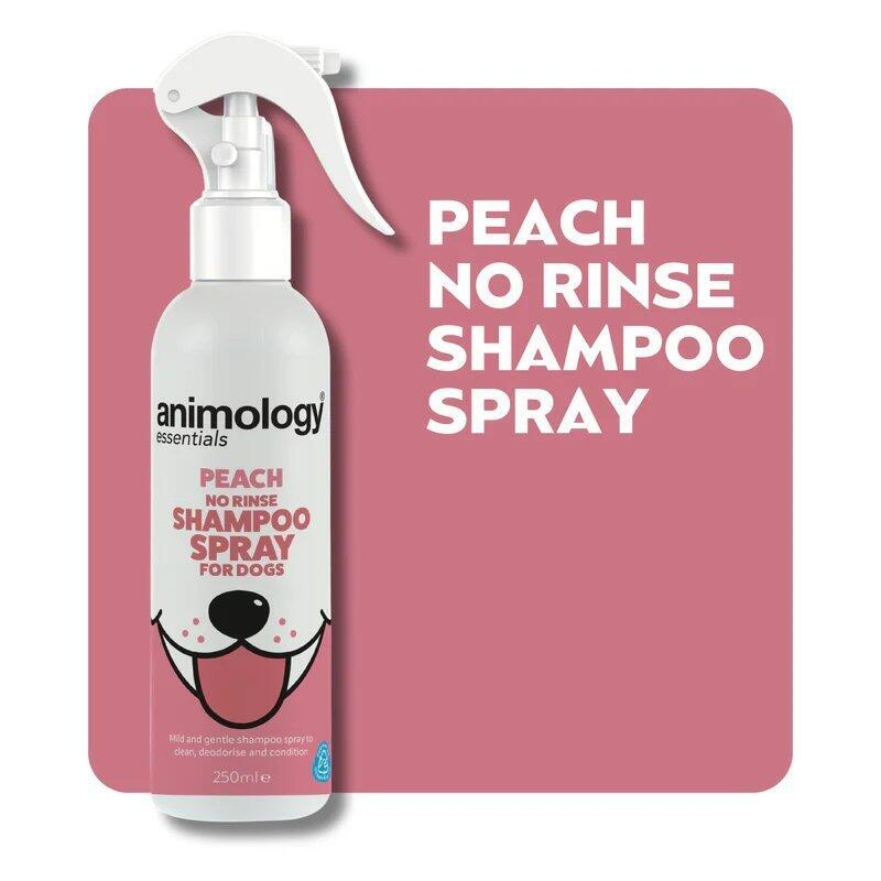 Animology Essentials Bezoplachový šampon pro psy ve spreji s broskvovou vůní 250 ml