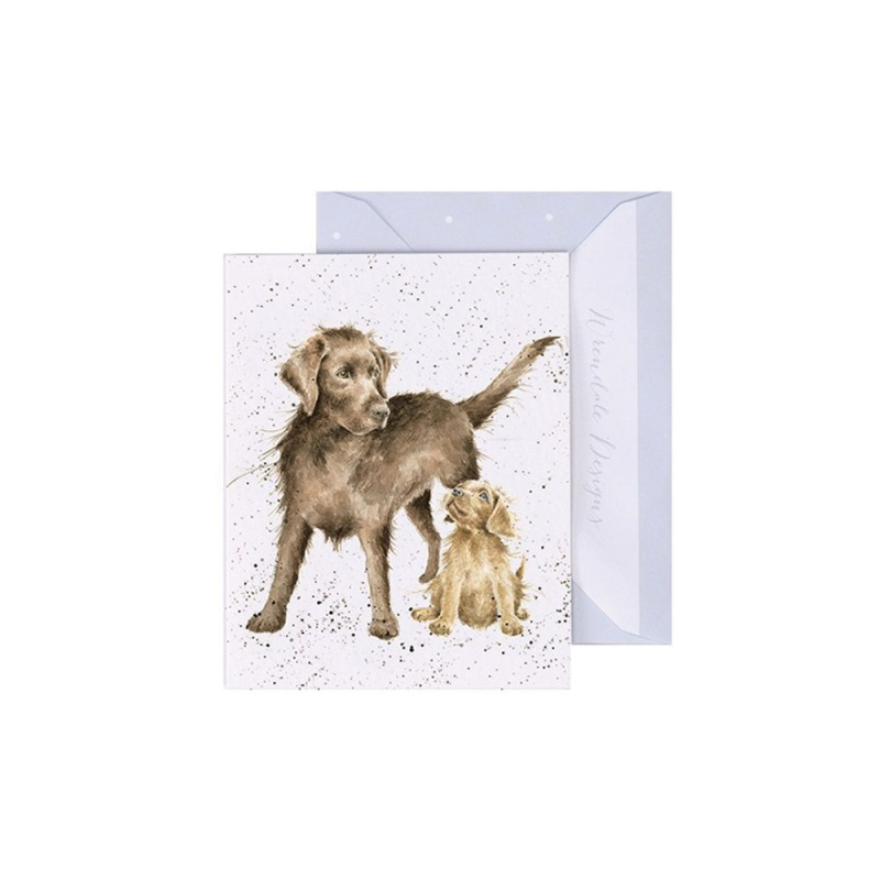 Wrendale Designs Dárková kartička Wrendale Designs "Puppy Love" - Psi, labradoři