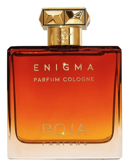 Roja Parfums Enigma Parfum Cologne kolínská voda pro muže 100 ml