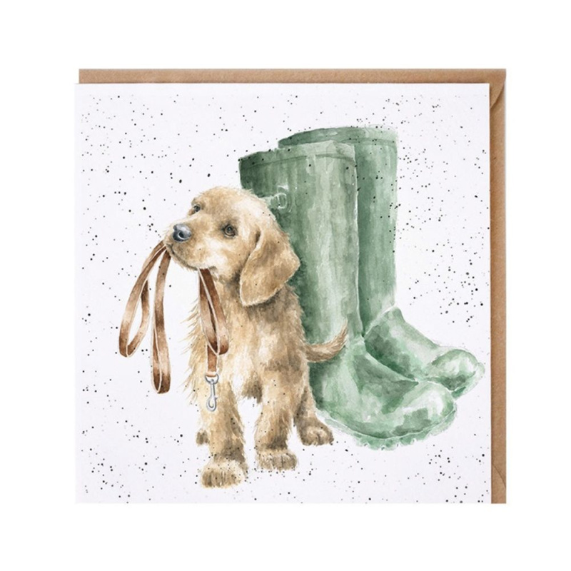 Wrendale Designs Přání Wrendale Designs "Hopeful", 15x15 cm - Labrador