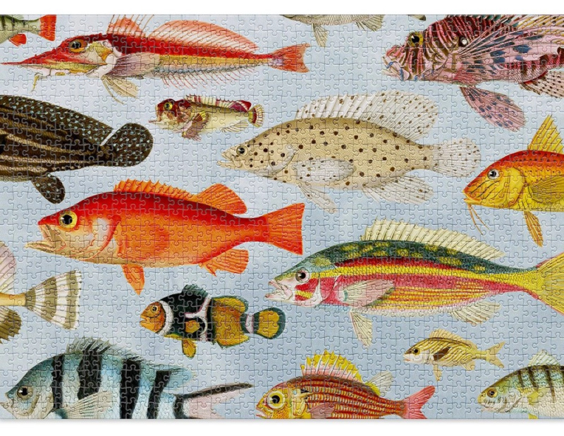 CLOUDBERRIES Puzzle Aquatic 1000 dílků