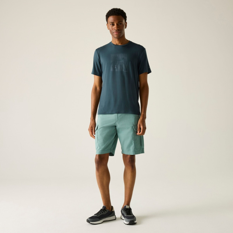 Pánské funkční tričko regatta fingal stretch tmavě modrá s