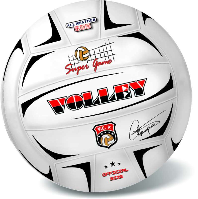 Volejbalový míč Champions 21 cm