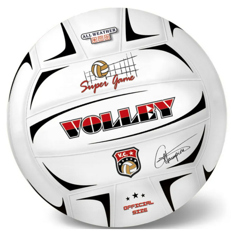 Volejbalový míč Champions 21 cm