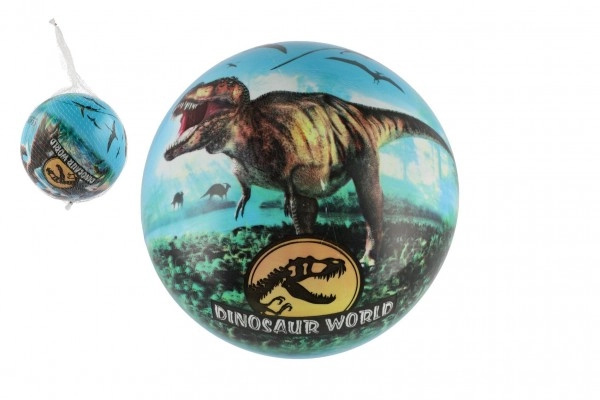 Teddies Míč Svět dinosaurů nafouknutý 23cm v síťce