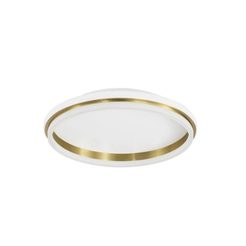 Nova Luce Stropní LED svítidlo WILLOW, 45x6mm, 40W Barva: Zlatá