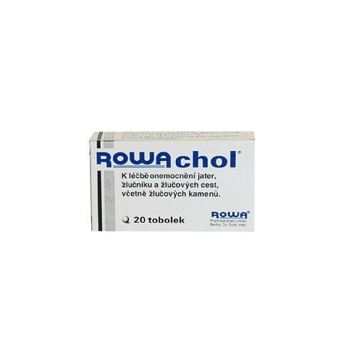 ROWACHOL CPS 20