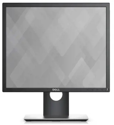 Dell Professional P1917S Černá