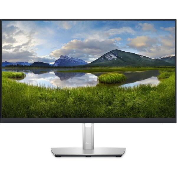 Dell P2423DE Stříbrná