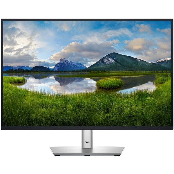 Dell P2425 monitor 24" 210-BMJD Stříbrná