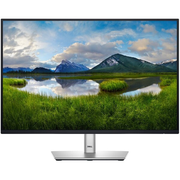 Dell P2425E monitor 24" 210-BMJF Stříbrná