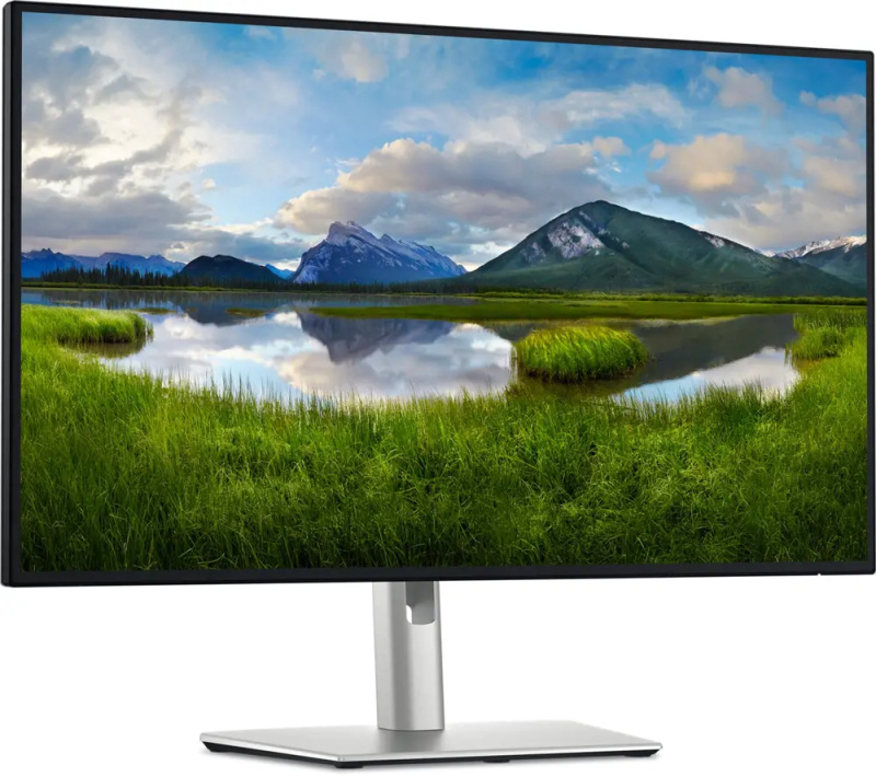 Dell UltraSharp 210-BQTL Stříbrná