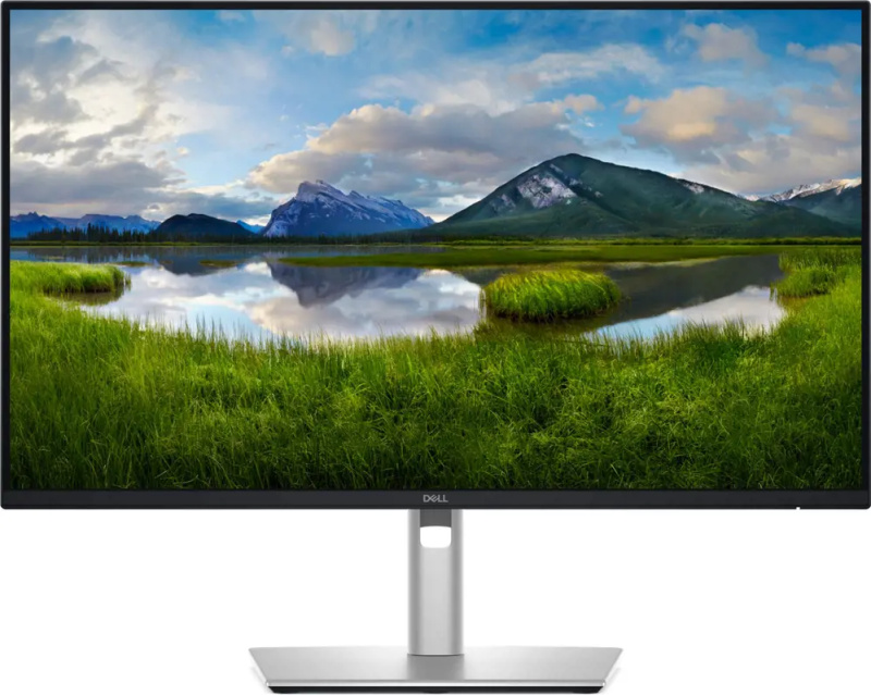 Dell Pro Plus 210-BQMX Černá/stříbrná