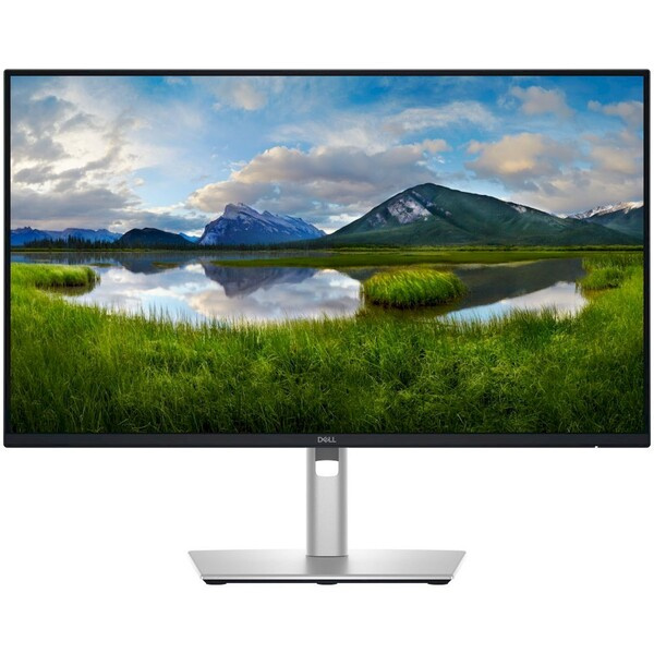 Dell Pro Plus 210-BRDM Černá/stříbrná