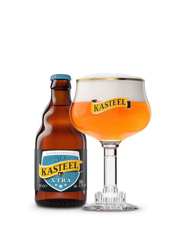 Van Honsebrouck Pivo Kasteel Xtra 14° 4,5% 0,33l