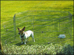 Ohrádka SAVIC Dog Park 2