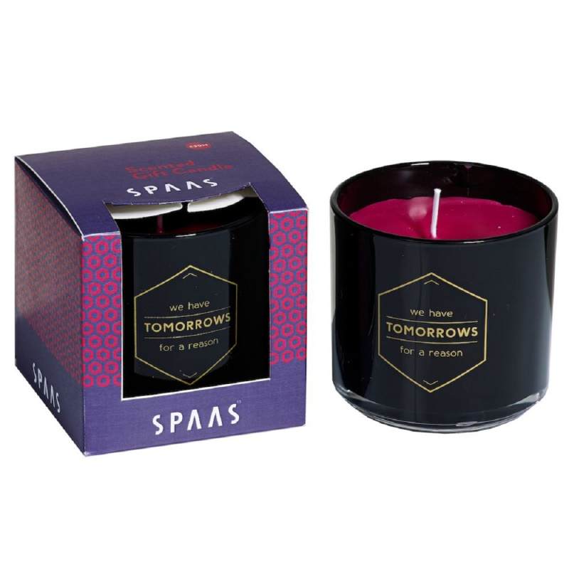 SPAAS Svíčka ve skle v dárkovém boxu WINTER GLOW