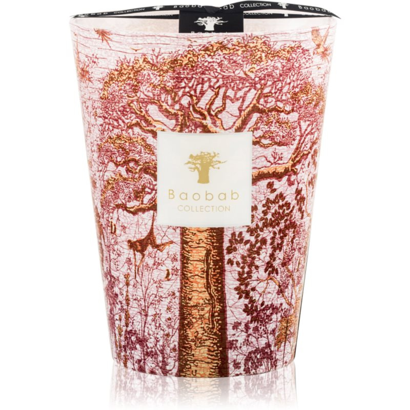 Baobab Collection Sacred Trees Woroba vonná svíčka 24 cm