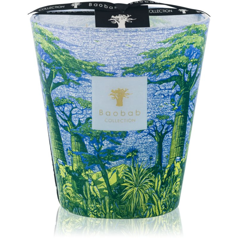 Baobab Collection Sacred Trees Yarani vonná svíčka 16 cm