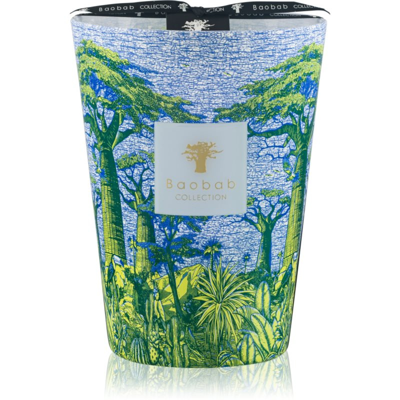 Baobab Collection Sacred Trees Yarani vonná svíčka 24 cm