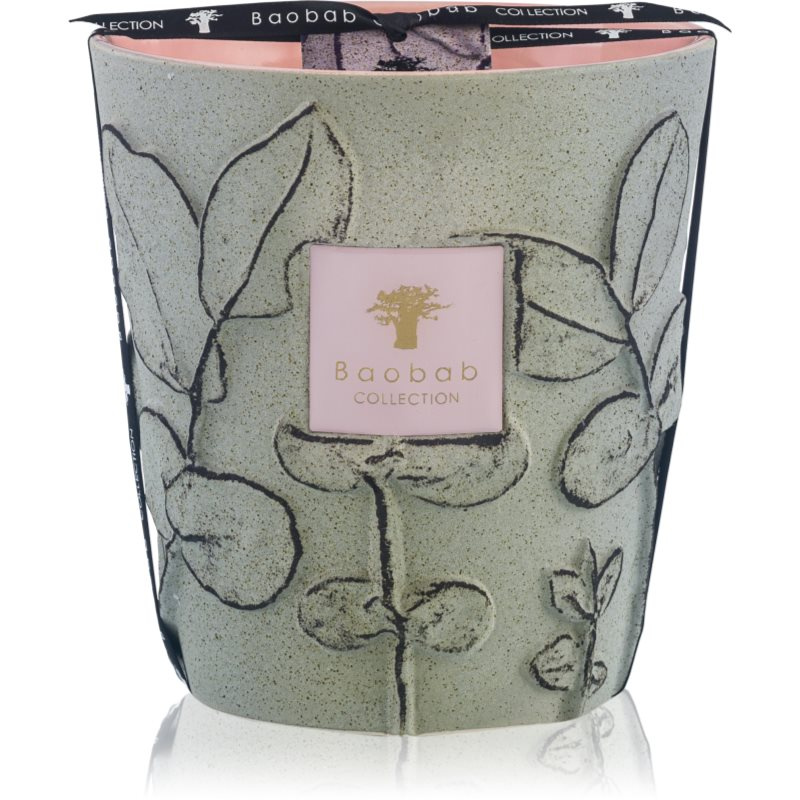 Baobab Collection Folia Maquis vonná svíčka 16 cm