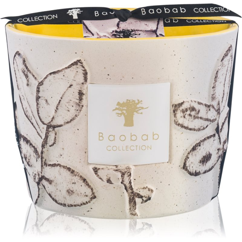 Baobab Collection Folia Calanque vonná svíčka 10 cm