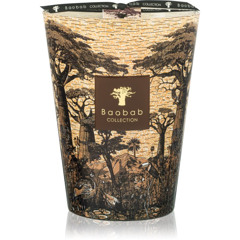 Baobab Collection Sacred Trees Mankono vonná svíčka 3000 g