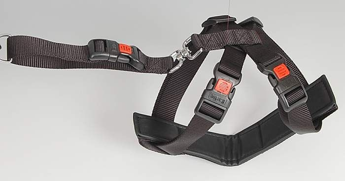KŠÍRY PRO PSA DO VOZU STŘEDNÍ 40-60cm
