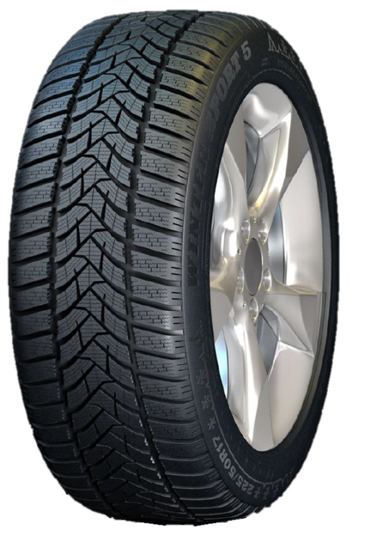 205/55R17 95V, Dunlop, Winter Sport 5